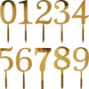 Number 2 Luxe Gold Acrylic Cake Topper