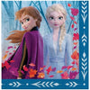 Large Disney Frozen Party Napkins