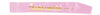 Bridesmaid Light Pink Satin Sash