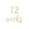 Ginger Ray Baby in Bloom Milestone Weeks Days Mix & Match Signs