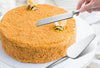 2pcs Silver Stainless Steel Wedding Cake Knife and Server Set