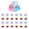 Boy or Girl Paper Cupcake Cake Toppers 13pk