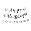 Happy Birthday Silver Disco Ball Banner 5m