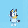 Bluey And Bingo Small Napkins 16pk
