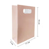 6pk 18cm Light Pink Party Bags