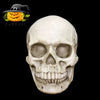 Halloween Skull Head Scary Plastic Decoration