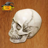 Halloween Skull Head Scary Plastic Decoration