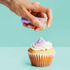 Shimmer Purple Edible Sprinks Pump 4g (Copy)