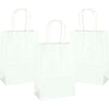 4PK 20.8cm White Paper Gift Bags
