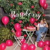 Fashion Raspberry 12cm Mini Size Sempertex Latex Balloons