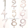 Silver "0"-"9" Birthday Age Acrylic Cake Toppers