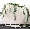 White Lace Flower Hexagon
