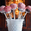 20cm Lollipop Sticks Cake Pop Sticks  25pk