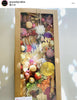 100PCS 558x252x80mm Extra Large Catering Tray With Brown Window Lid Grazing Box