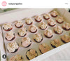 24 Mini Holes Clear Window CupCake Box With Inserts