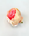 10cm Peach & Pink Artificial l Peony  Flower Head Loose