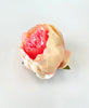 10cm Peach & Pink Artificial l Peony  Flower Head Loose