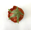 9cm Coffee/ Brown Artificial Rose Flower Head