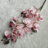 77cm Artificial Orchid Flowers -Light Pink