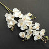 77cm Artificial Orchid Flowers -White