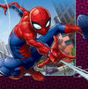 Large Spiderman Napkins