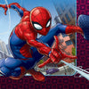 Large Spiderman Napkins
