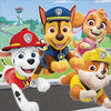 Large Paw Patrol Adventures Napkins 16Pack