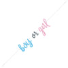 Baby Gender Reveal  "Boy Or Girl" Jointed Letter Banner Party Decorations