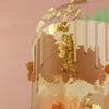Colour Mill Oiled Based Food Colour 20ml -  Clay