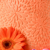 Colour Mill Oiled Based Food Colour 20ml - Orange