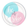 Small Gender Reveal  He Or She Party Paper Plates 8PK
