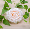 Nude Pastel Peach Artificial  Rose Flower Head