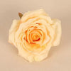 Peach Rose Single Flower Head