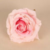 Pink Rose Single Flower Head