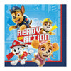 Paw Patrol Adventures Party Theme Small Napkins